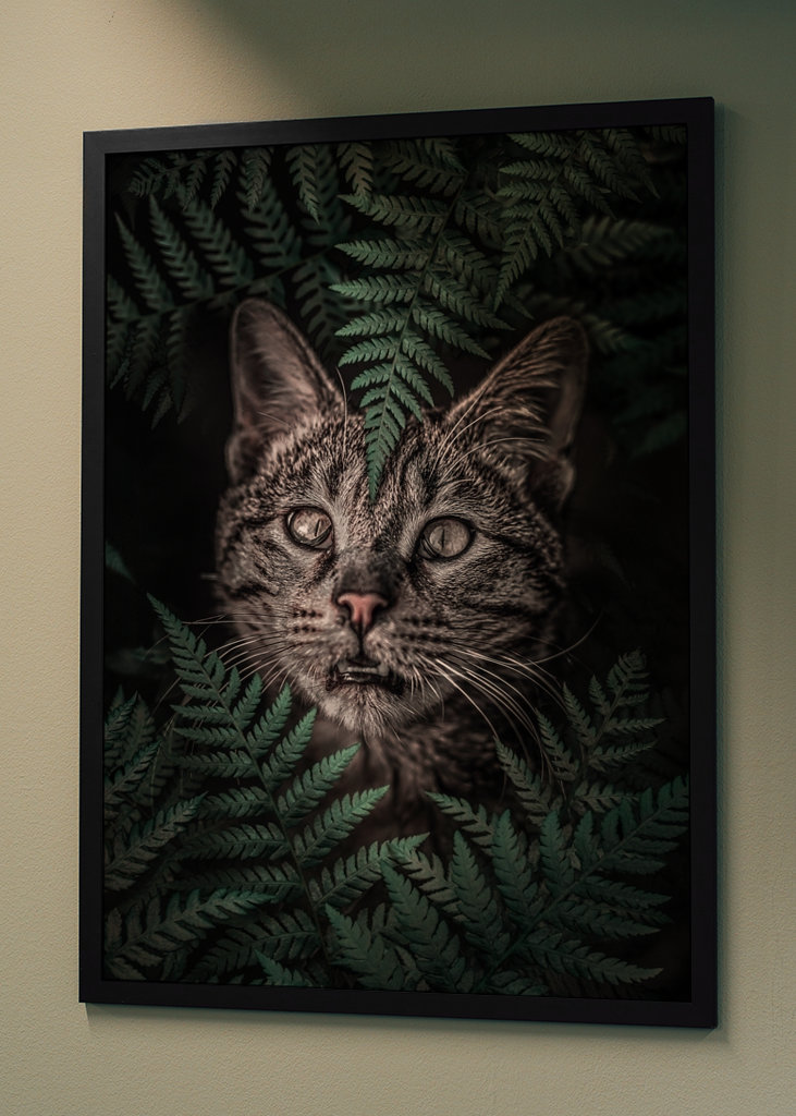 Ach ja, kat in varens