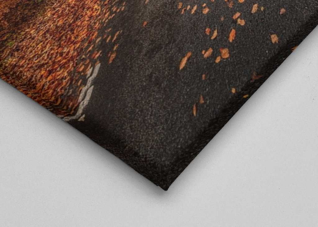 Herbststraße durch den Buchenwald