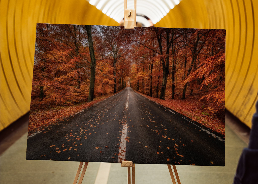 Herbststraße durch den Buchenwald