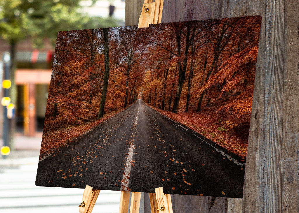 Herbststraße durch den Buchenwald