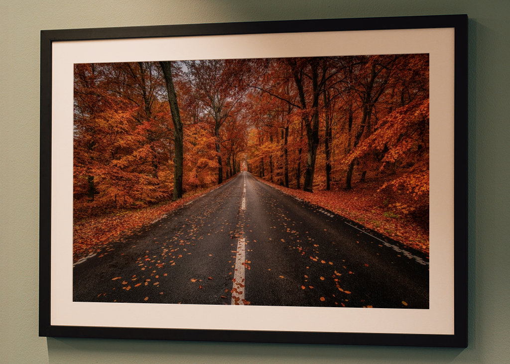 Herbststraße durch den Buchenwald