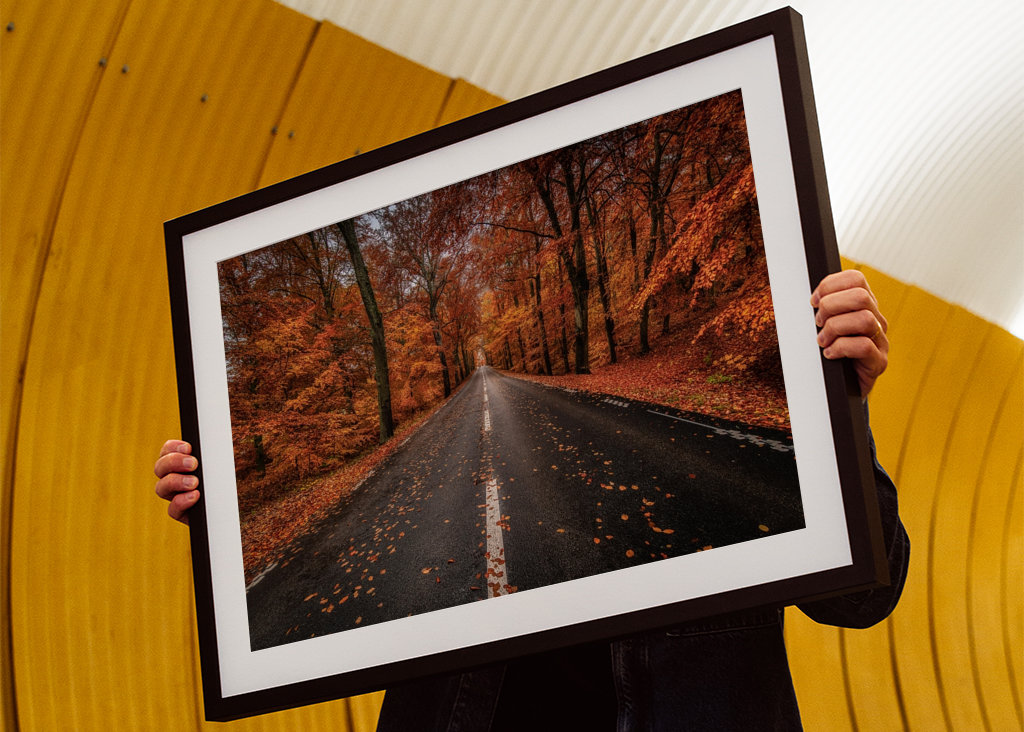 Herbststraße durch den Buchenwald