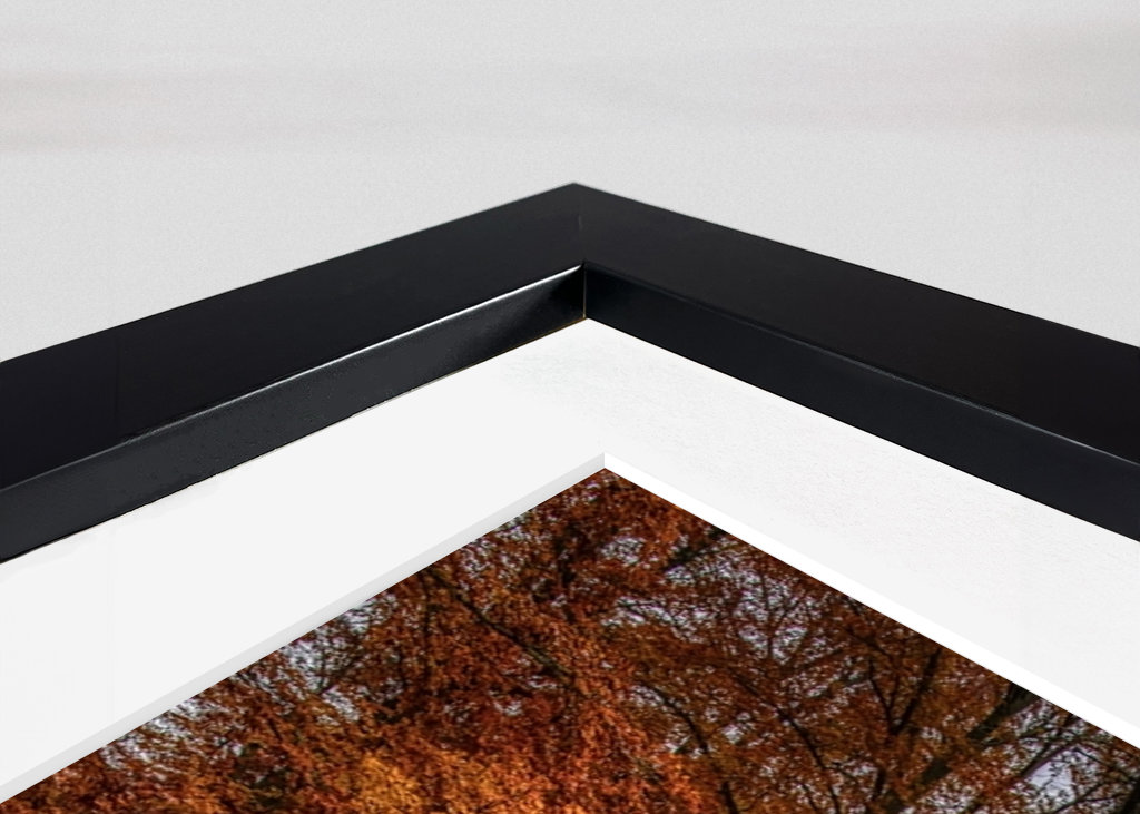 Herbststraße durch den Buchenwald