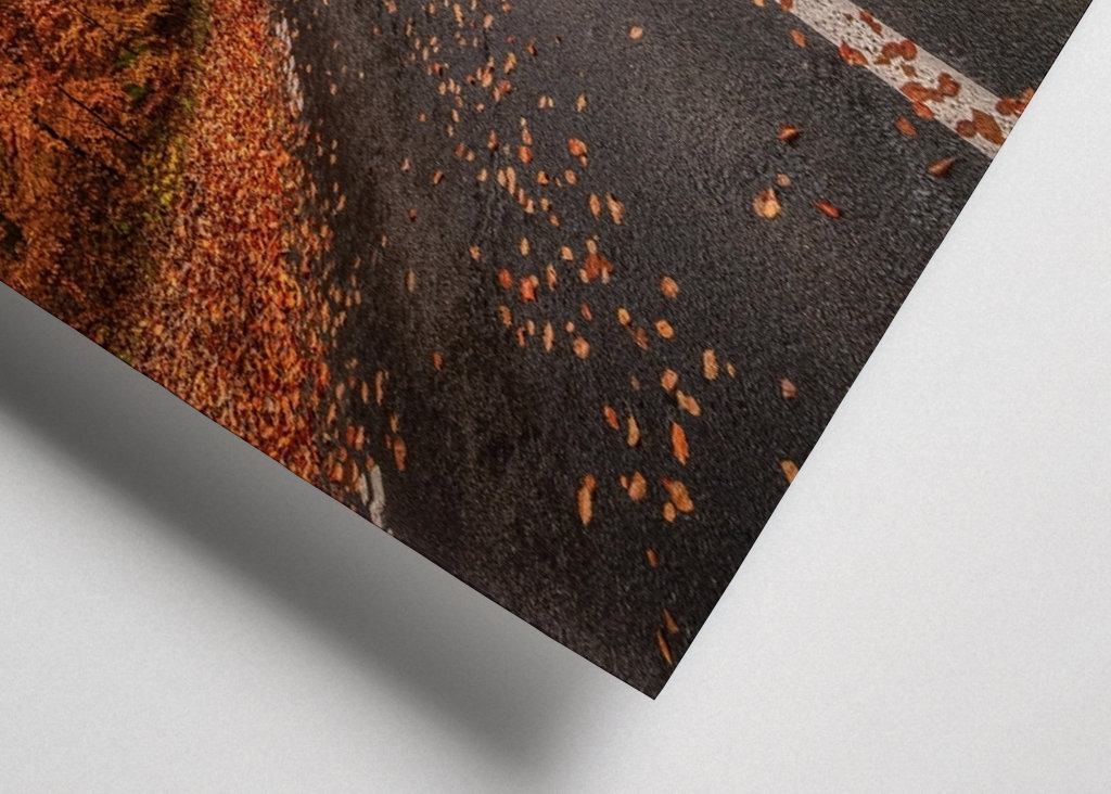 Herbststraße durch den Buchenwald