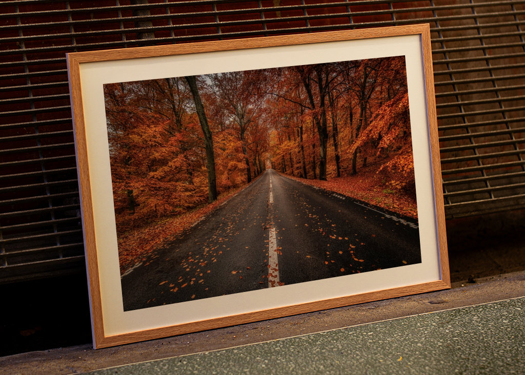 Herbststraße durch den Buchenwald