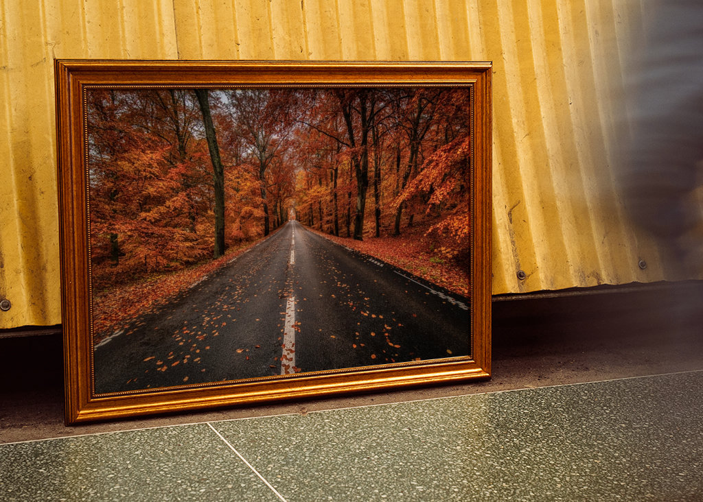 Herbststraße durch den Buchenwald