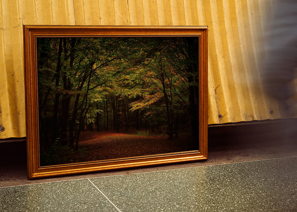 Light in a dark forest