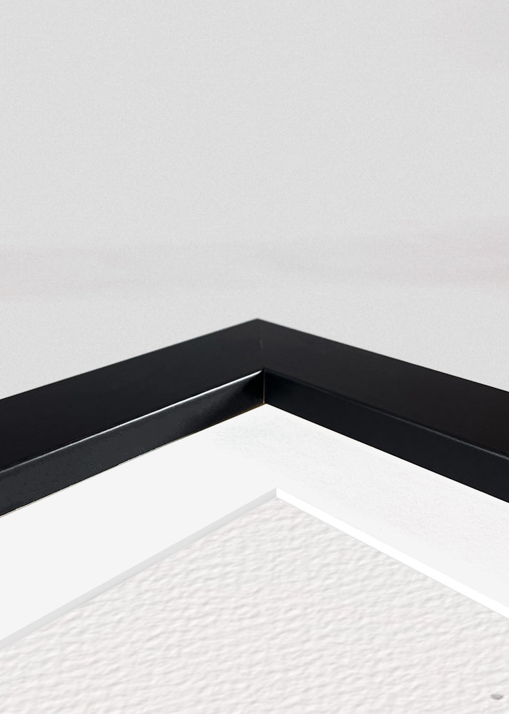 Spiderman Black and white