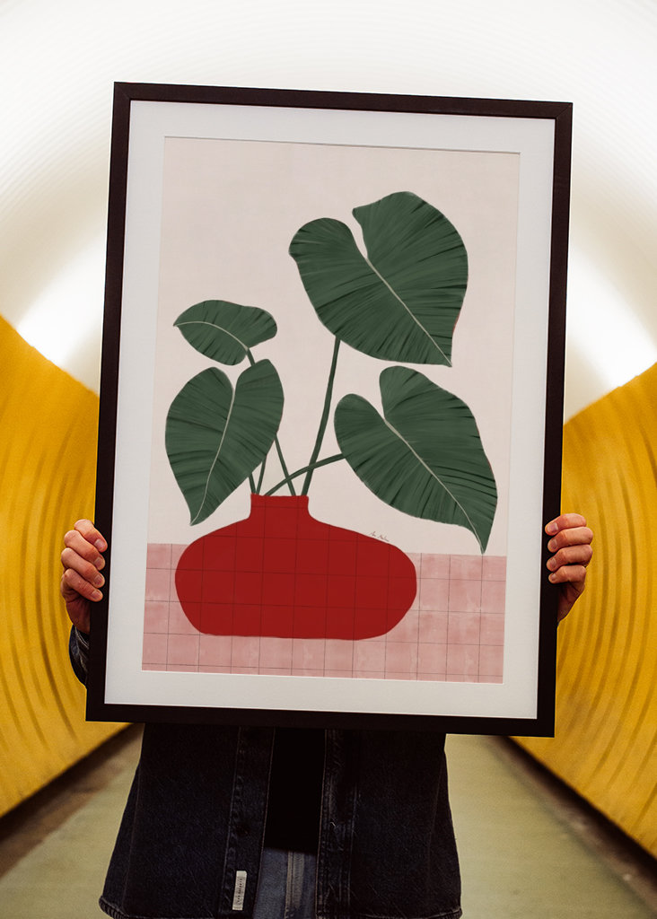 Planta Philodendron gloriosum