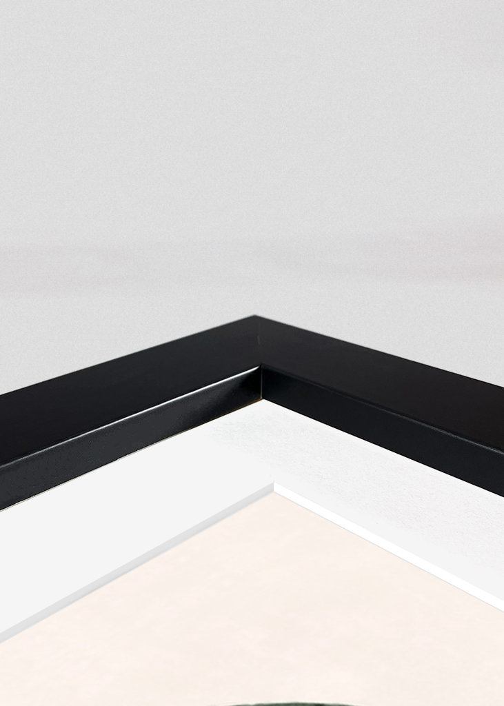 Planta Philodendron gloriosum