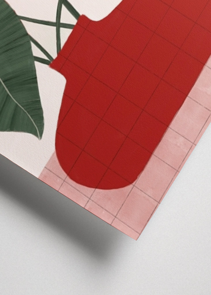 Planta Philodendron gloriosum