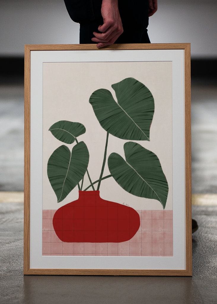 Planta Philodendron gloriosum