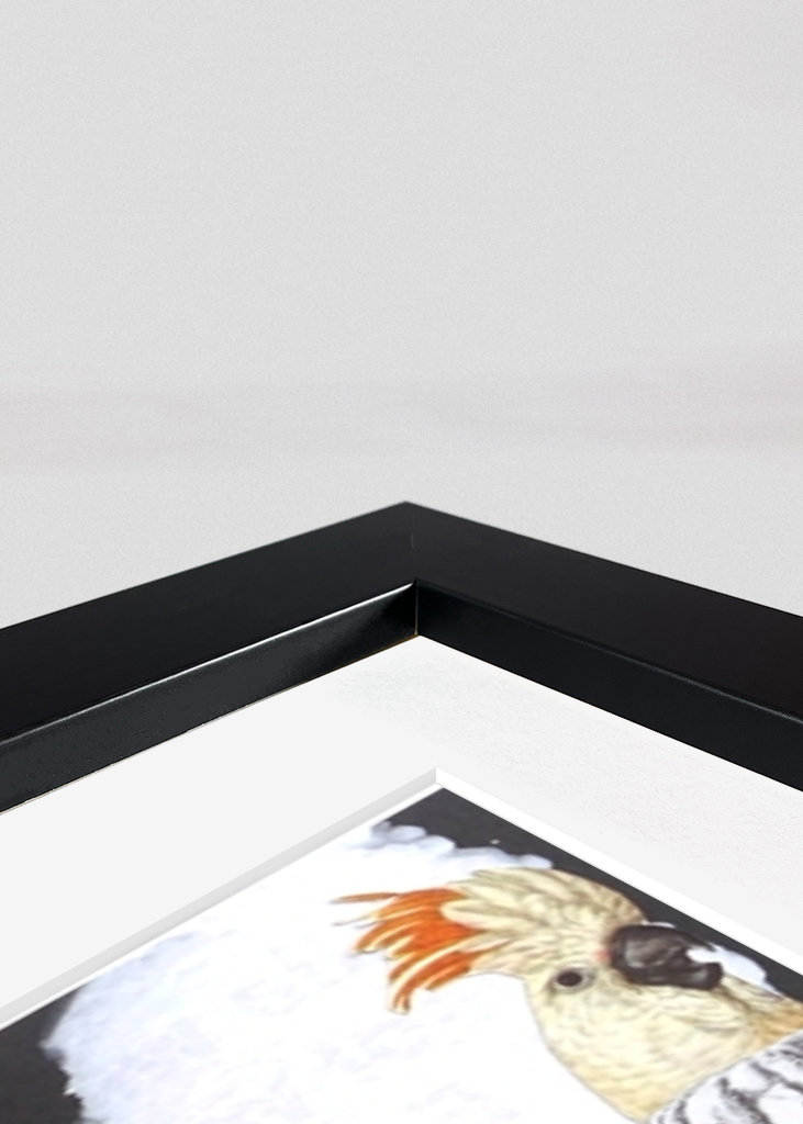 Un altro sguardo sul mondo