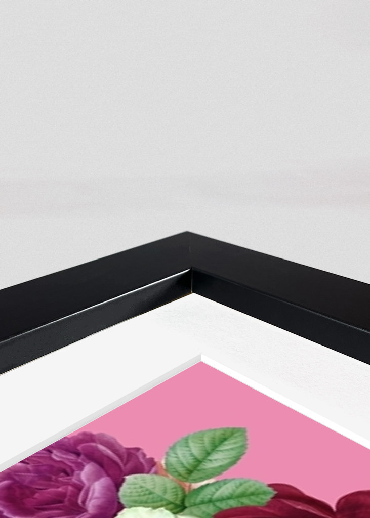 Portrét Frida miluje mačky 