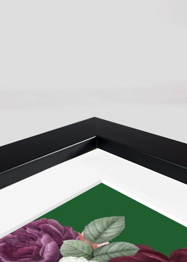 Retrato Frida con gato 