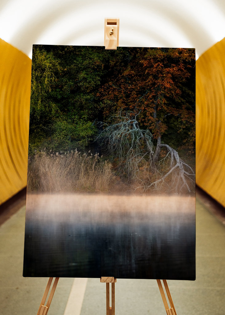 October morning by the lake