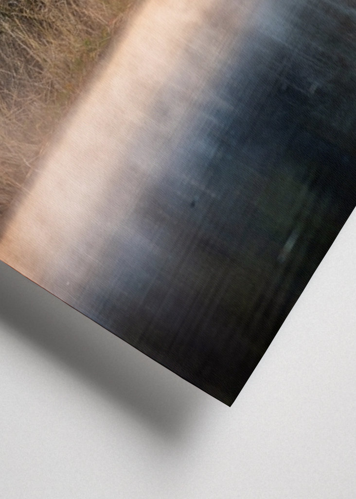 October morning by the lake