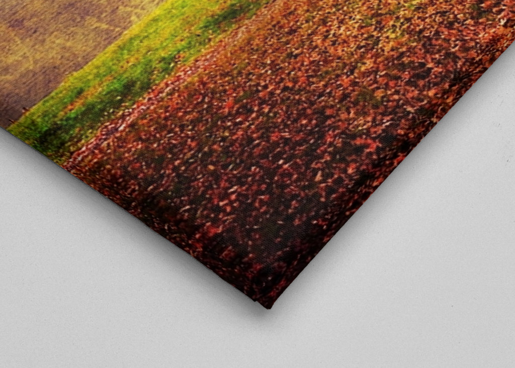 Peace under the Rainbow