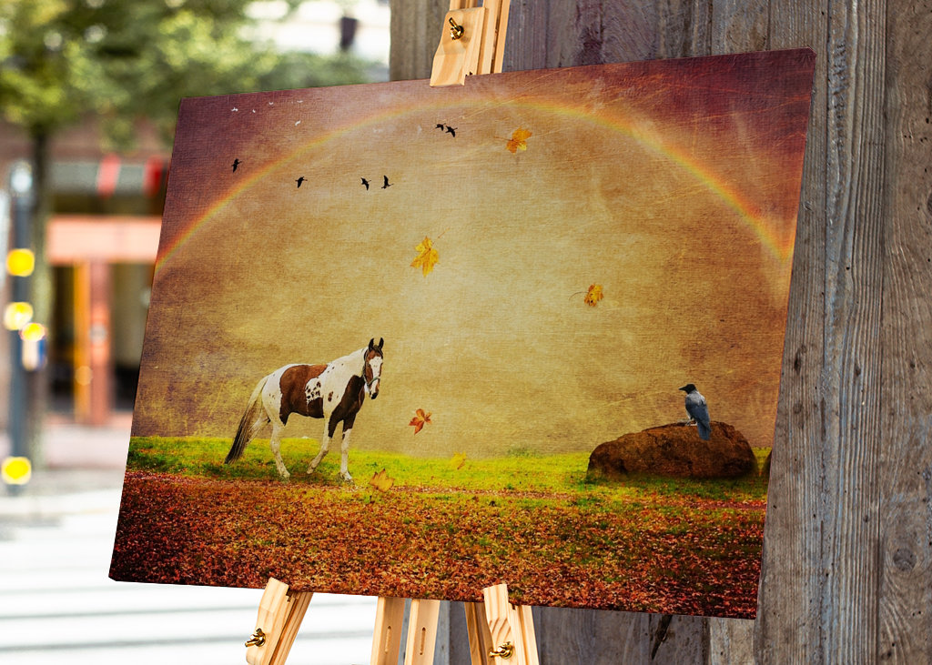 Peace under the Rainbow