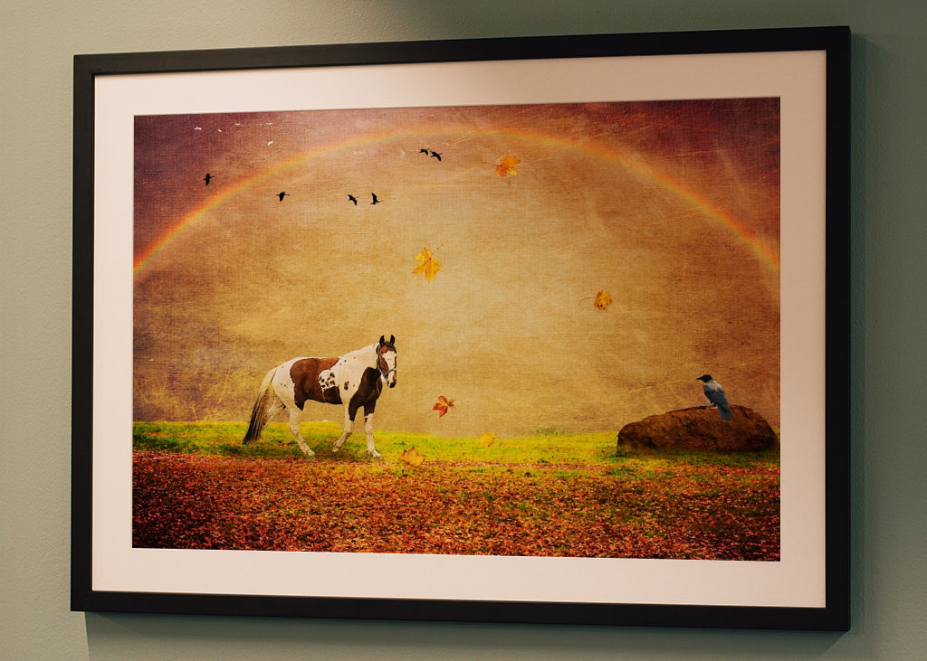 Peace under the Rainbow