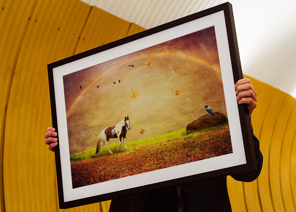 Peace under the Rainbow