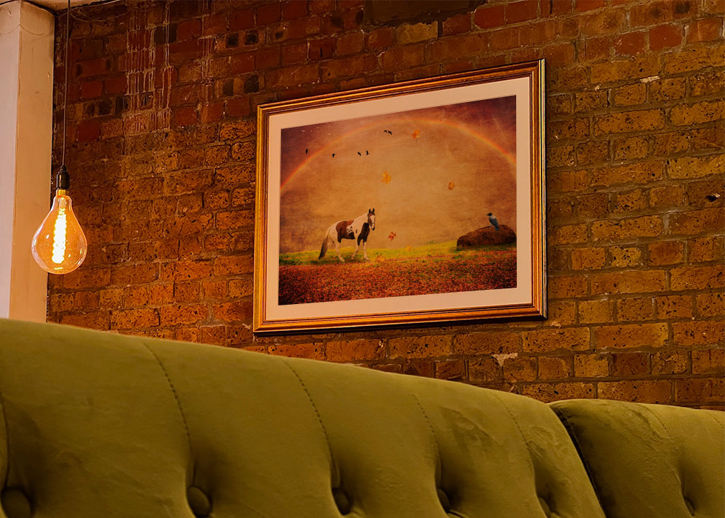 Peace under the Rainbow