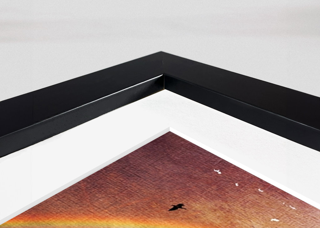 Peace under the Rainbow