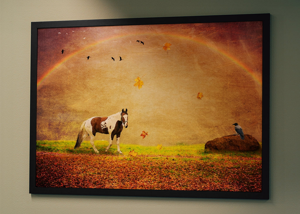 Peace under the Rainbow