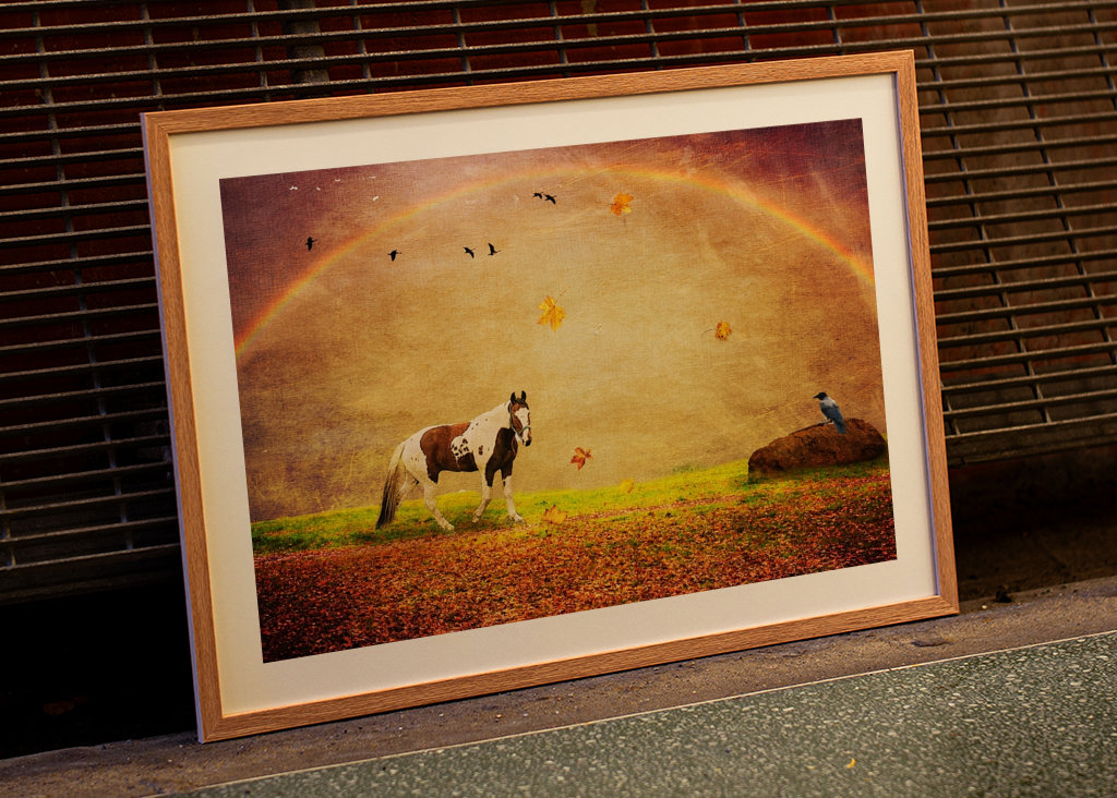 Peace under the Rainbow