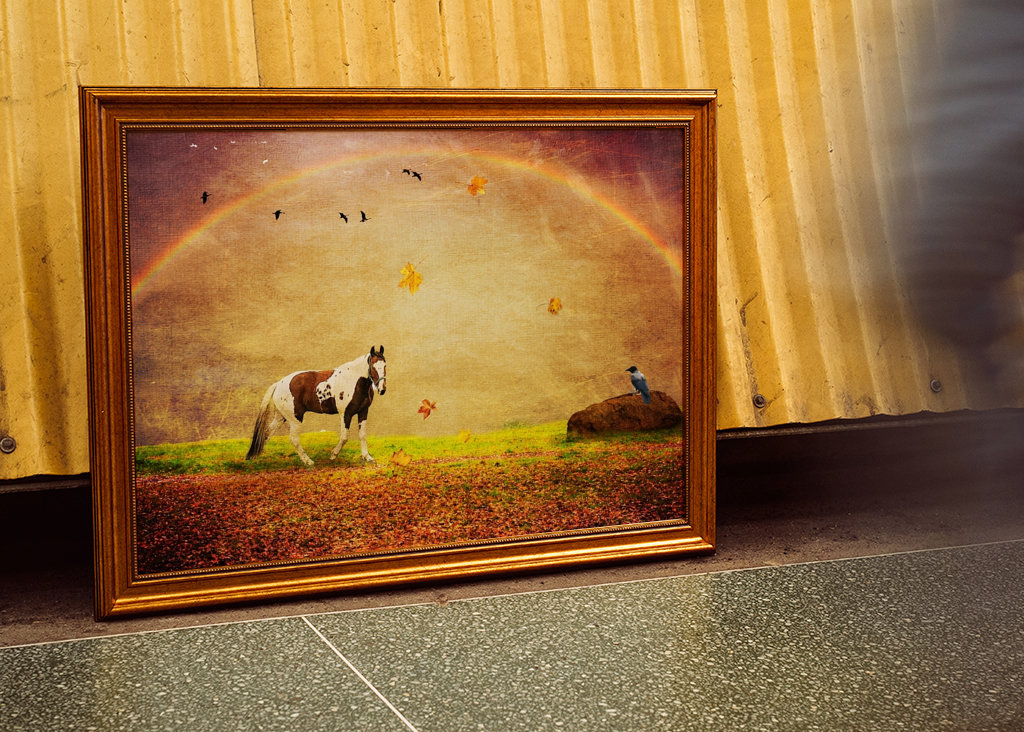 Peace under the Rainbow