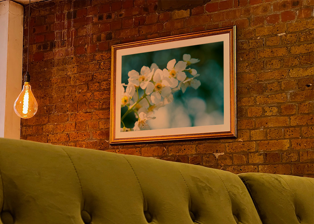 Himmlischer Vogel Kirsche