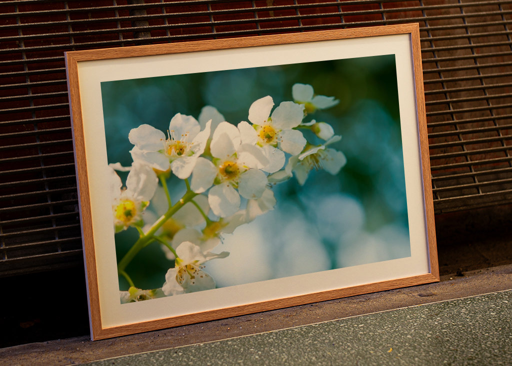 Himmlischer Vogel Kirsche