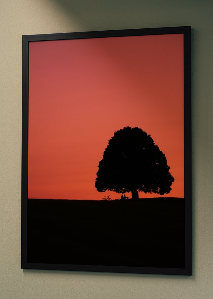 Mensch Baum Sonnenuntergang