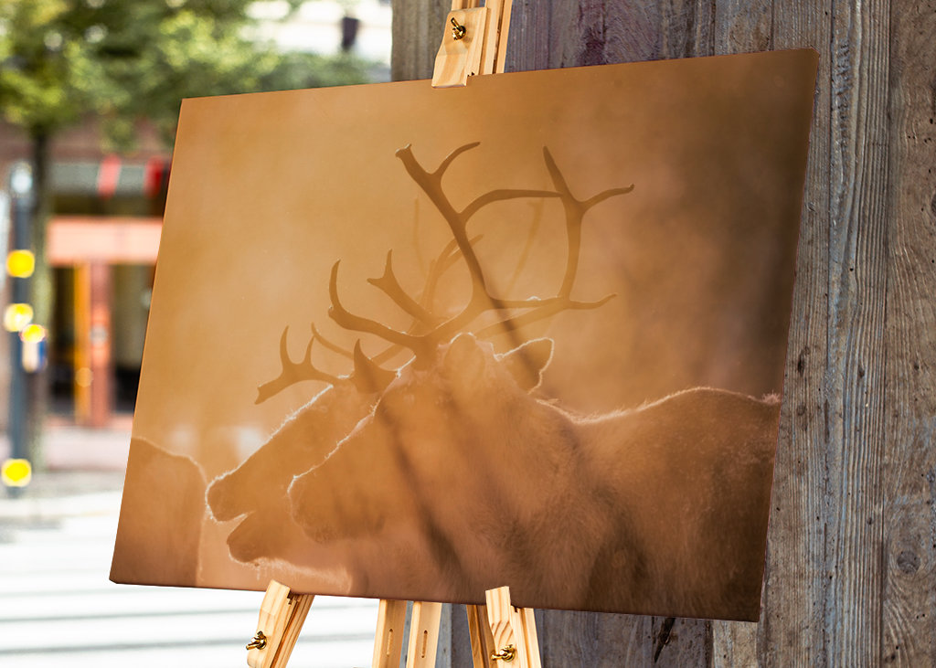 Reindeers in sunlight