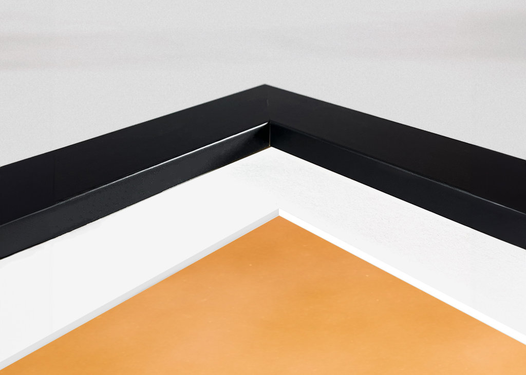 Reindeers in sunlight