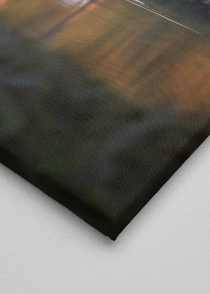 Flamingoer på Mallorca