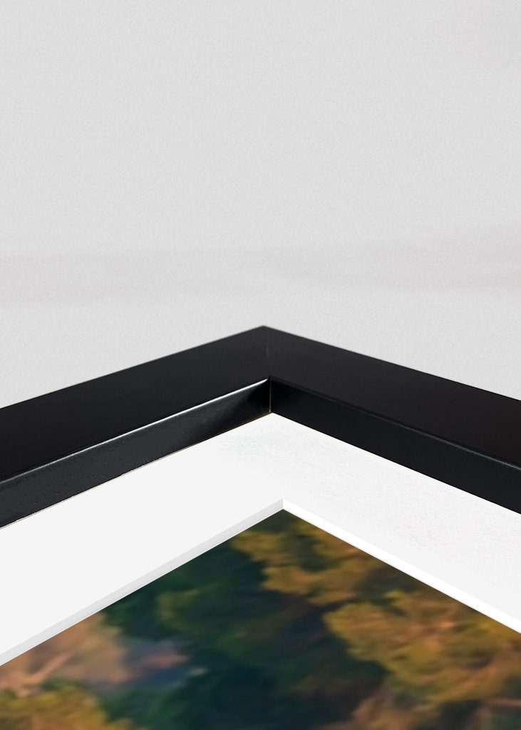 Flamingoer på Mallorca