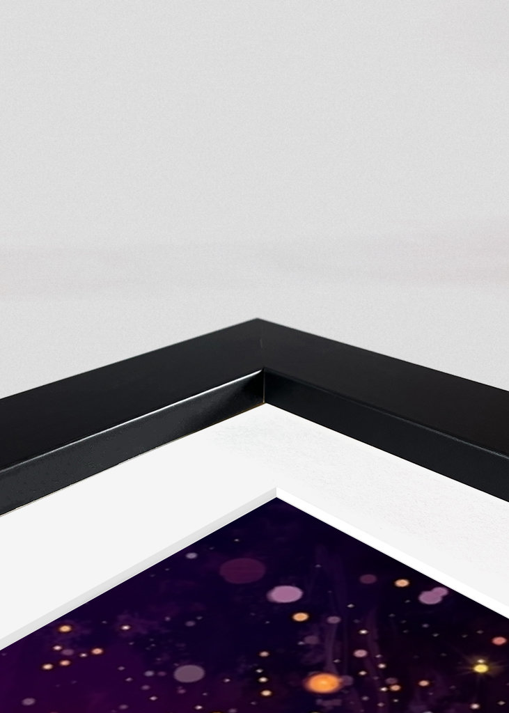 A look at the universe