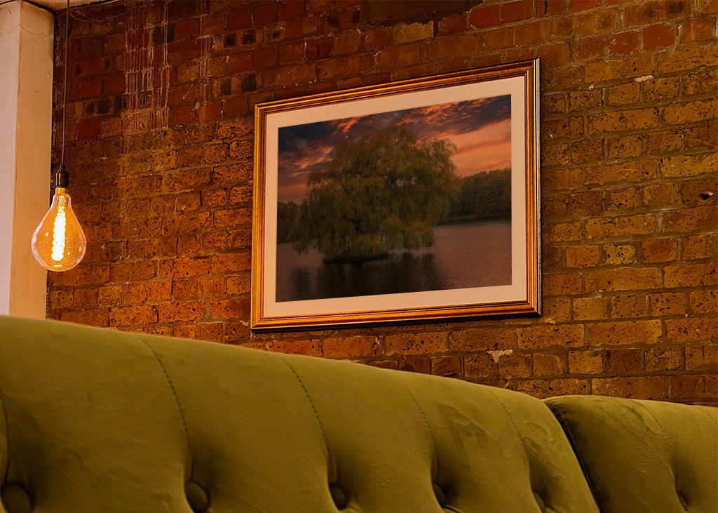 The old weeping willow