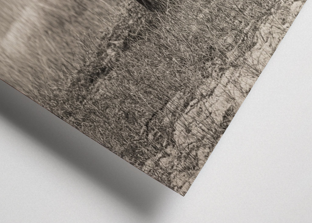 Een roestige lier is erfelijk