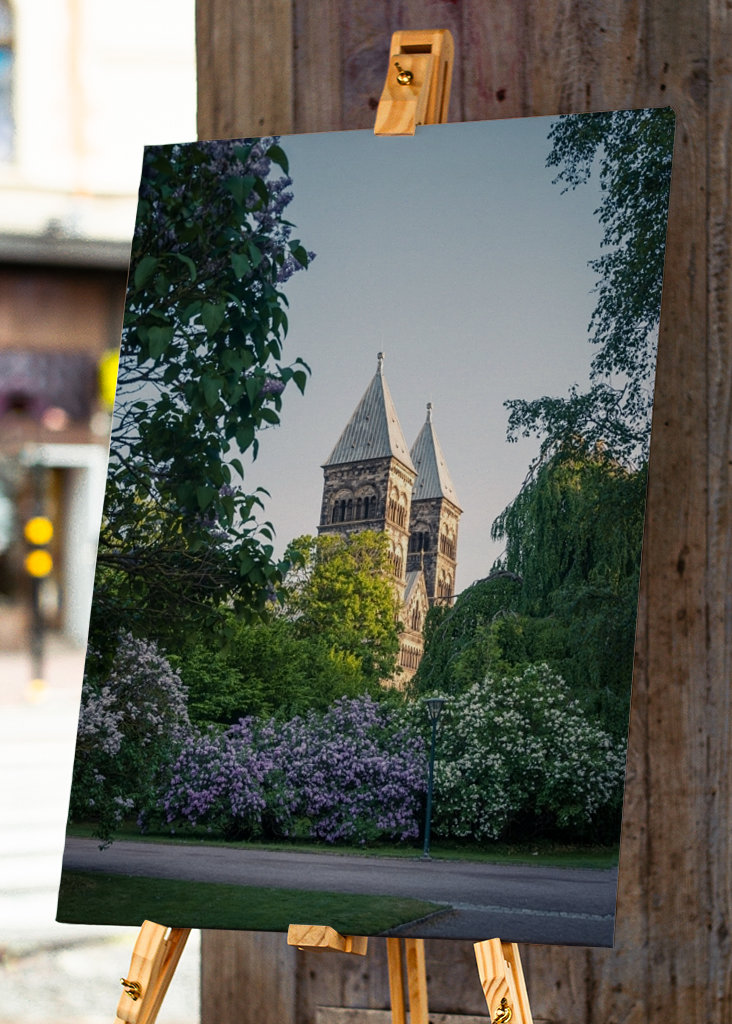 Katedrála mezi šeříkovými květy