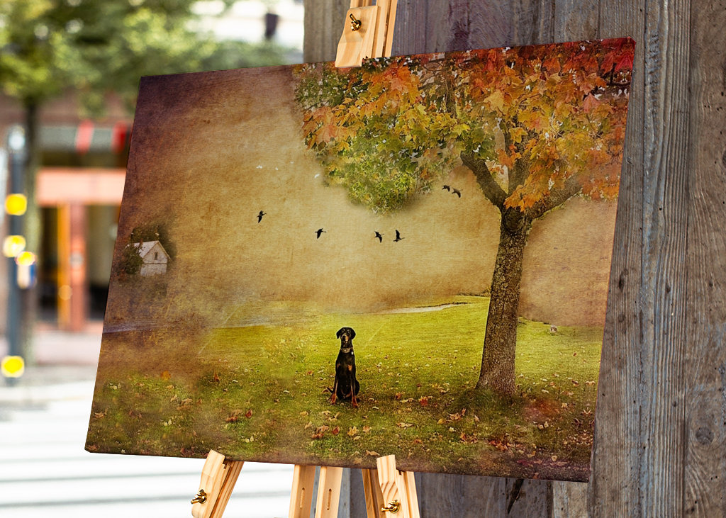 Il cuore più grande