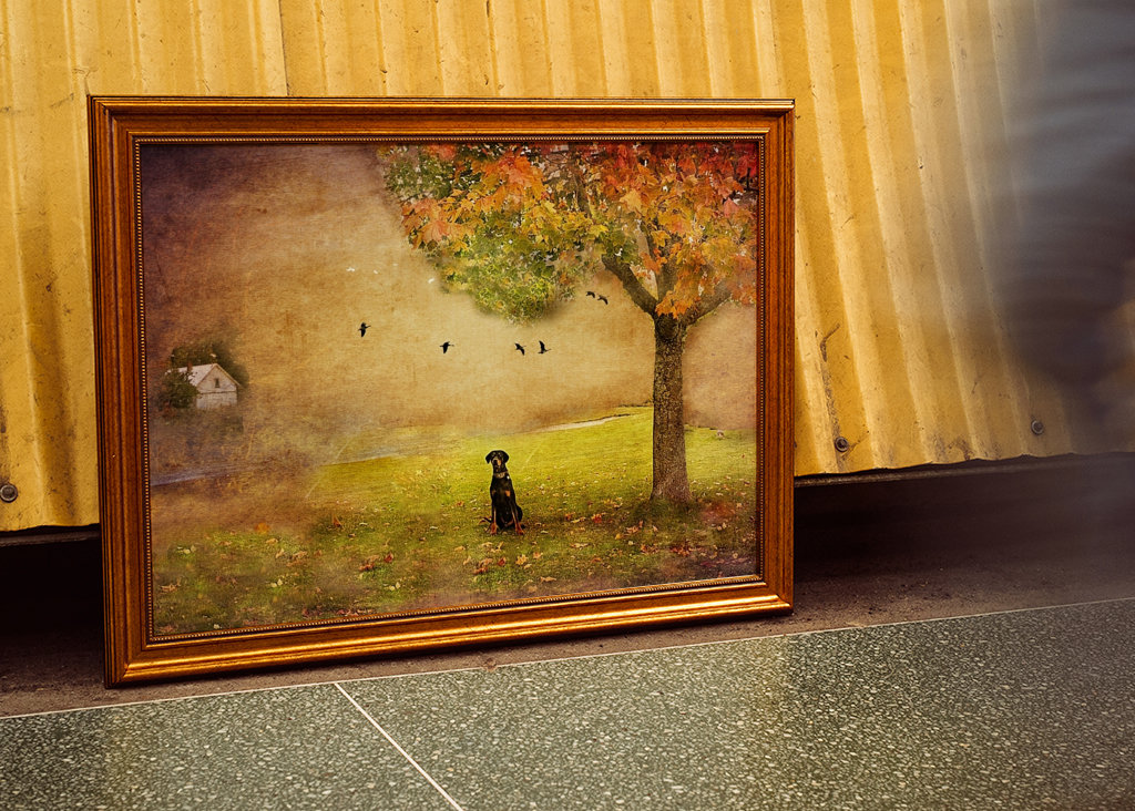 Il cuore più grande