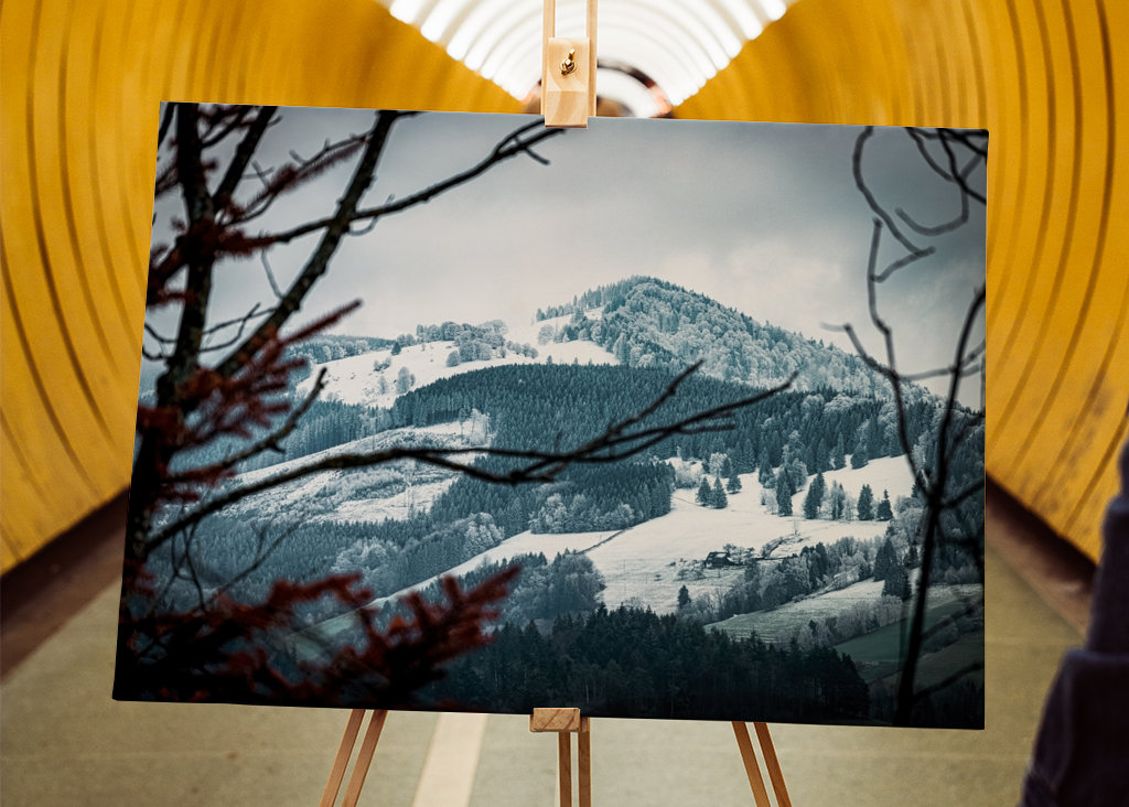Schneebedeckter Schwarzwald