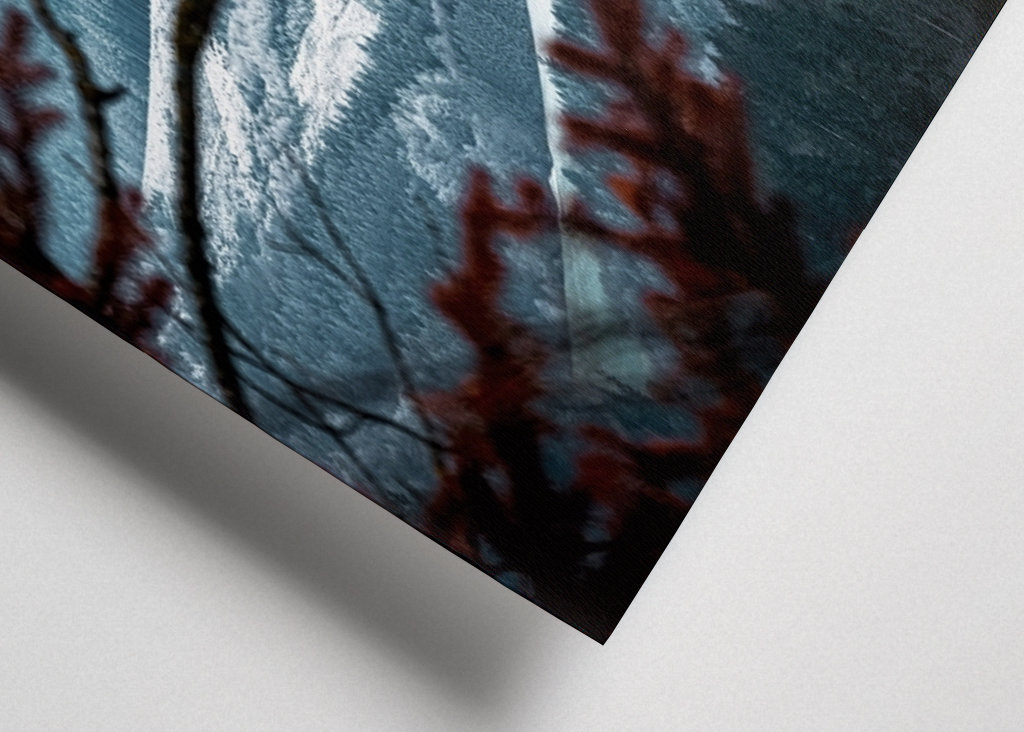 Schneebedeckter Schwarzwald