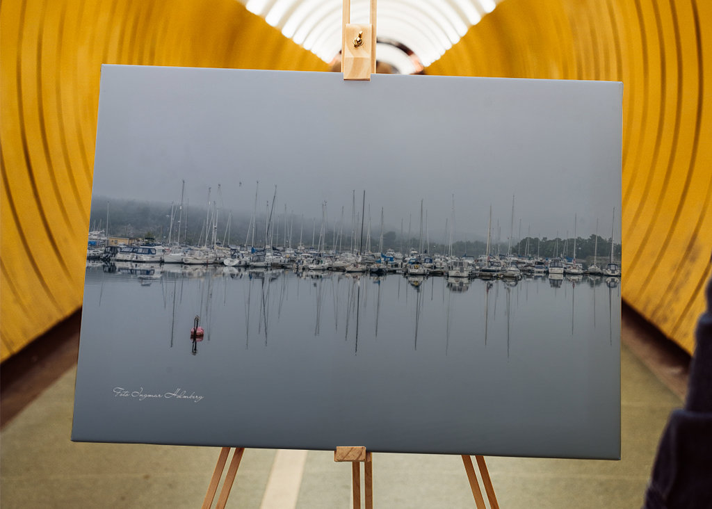 Nebbia nel porto turistico