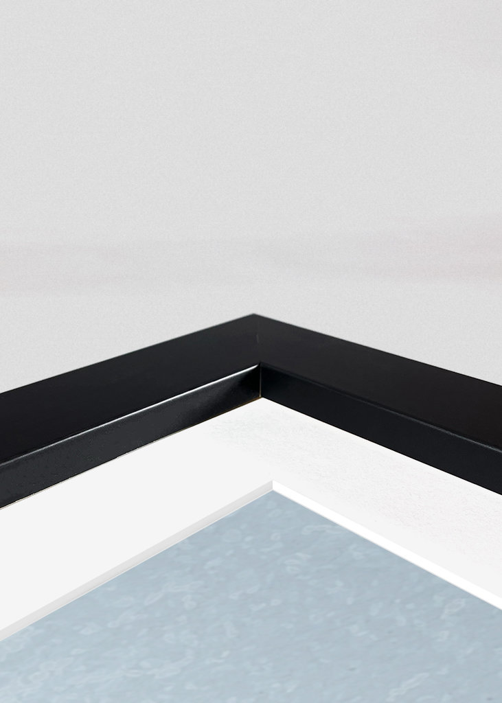 Sardinen an der Wäscheleine