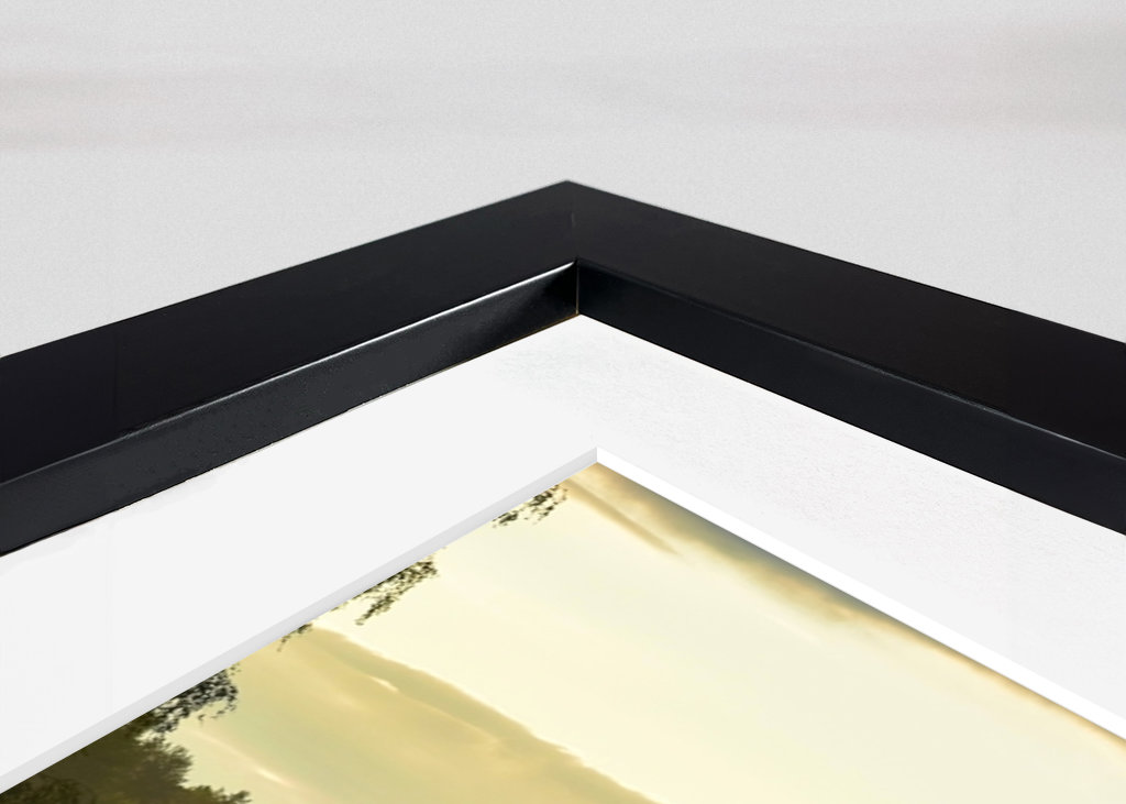 Summer nigth with sun and mist