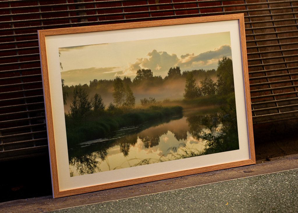 Summer nigth with sun and mist