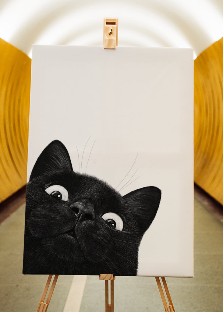 Klidná černá kočka